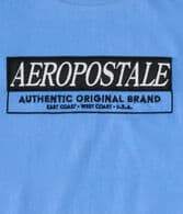 Aeropostale Box Logo Appliqué Graphic Tee