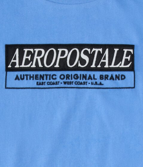 Aeropostale Box Logo Appliqué Graphic Tee