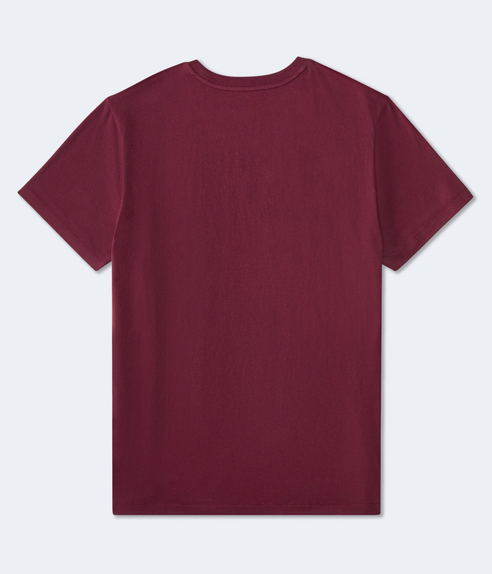 Aeropostale Cali Bear Graphic Tee