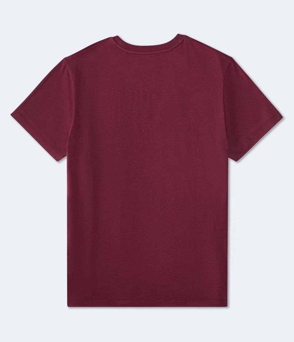 Aeropostale Cali Bear Graphic Tee