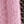 GALA PINK
