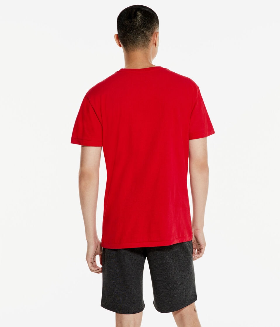 Aero Script Box Logo Graphic Tee