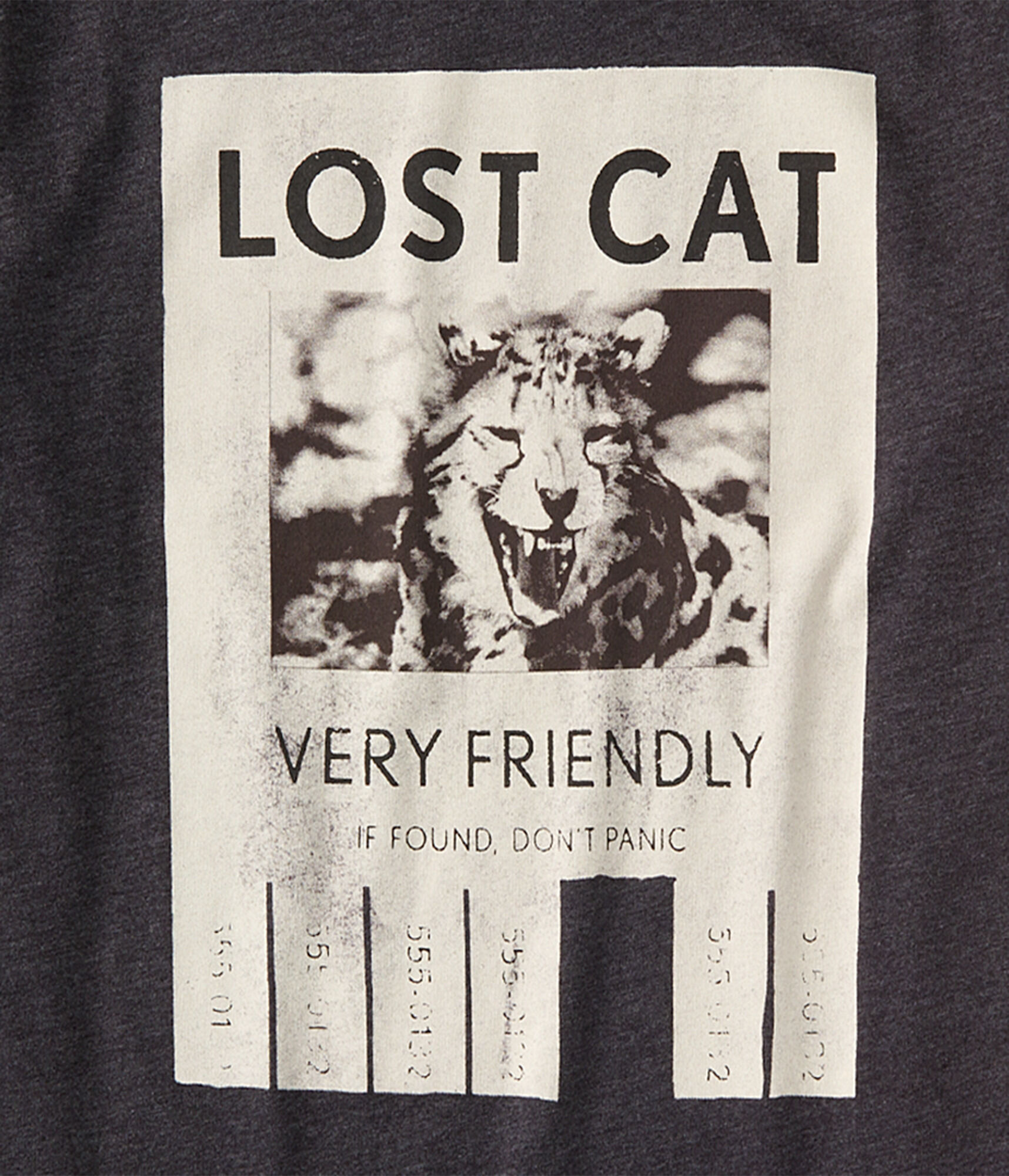 Lost Cat Graphic Tee