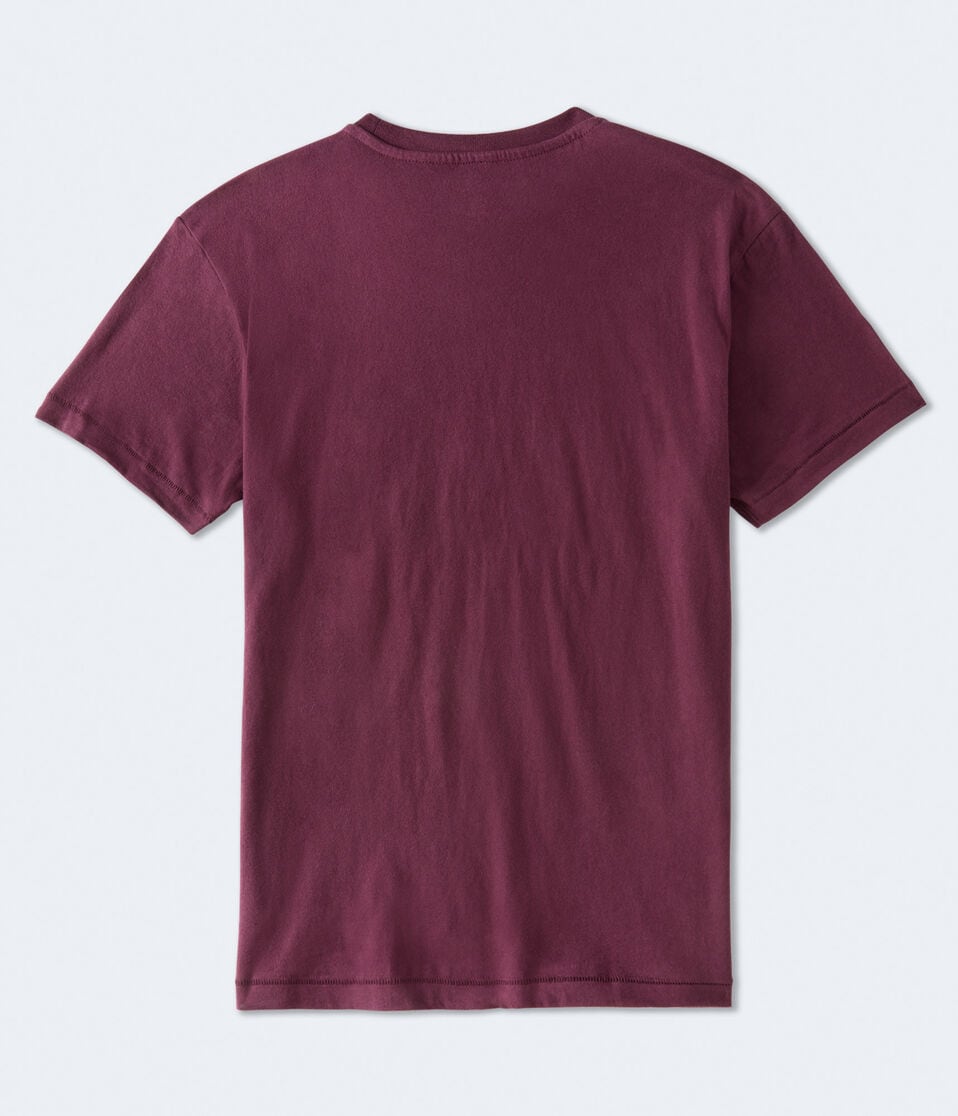 Aeropostale Original Arch Appliqué Graphic Tee