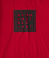 Aero Stacked Box Logo Graphic Tee