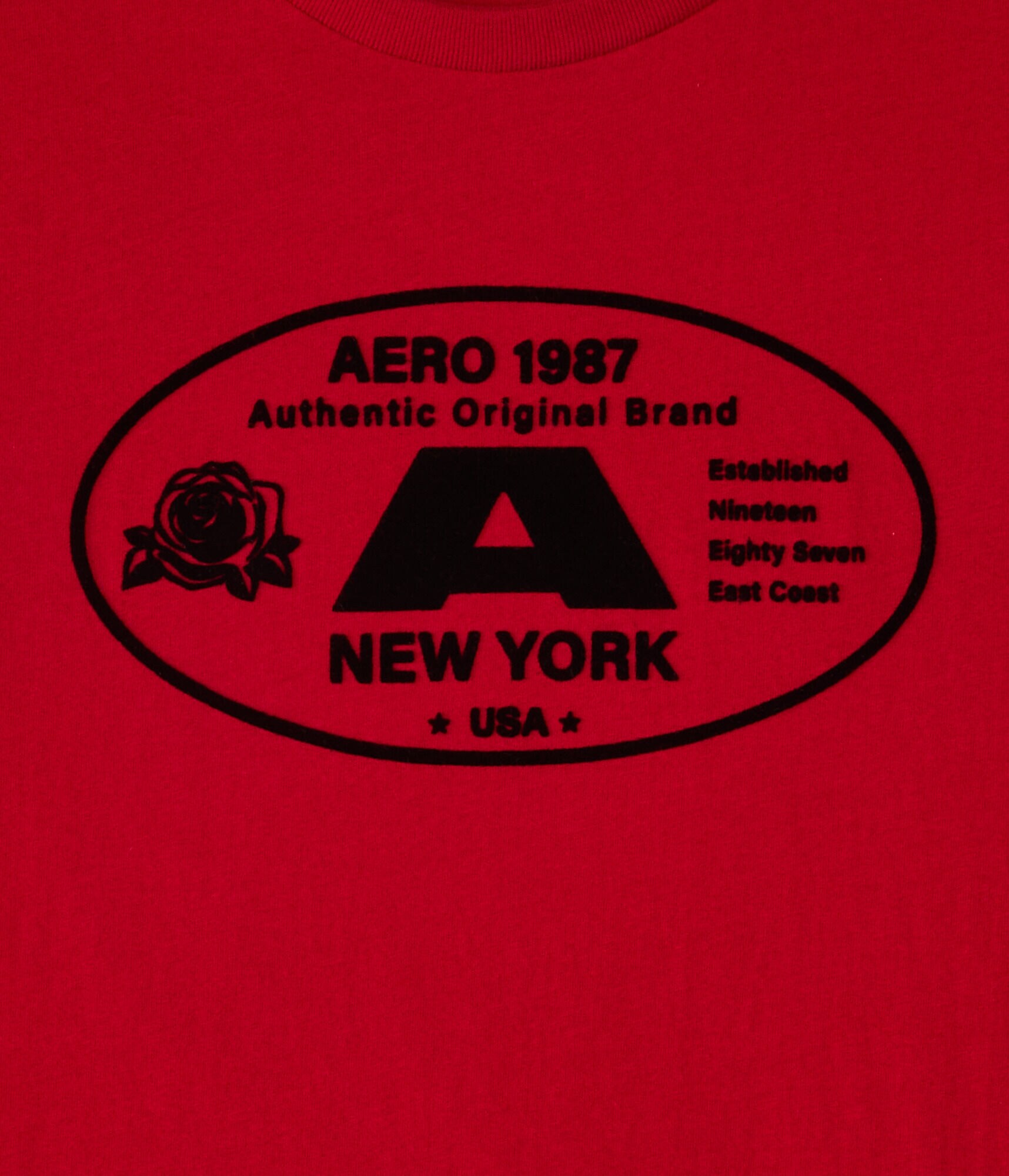 Aero 1987 Oval Flocked Graphic Tee
