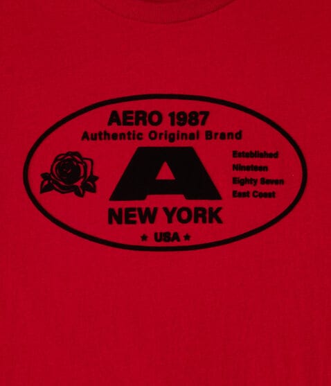 Aero 1987 Oval Flocked Graphic Tee