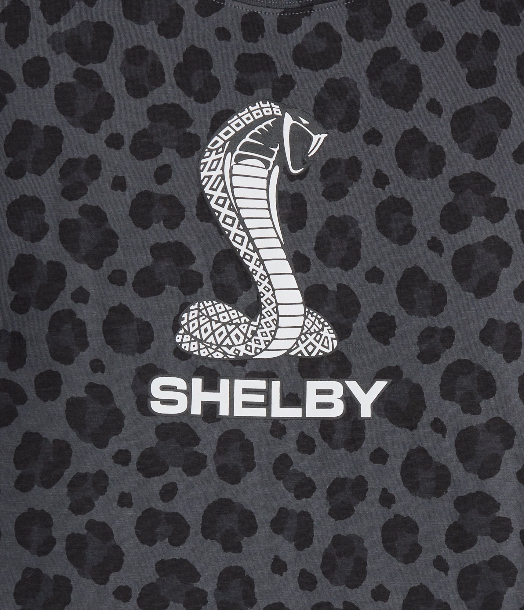 Shelby Leopard Print Relaxed Graphic Tee