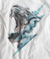 Free State Tiger Graphic Tee