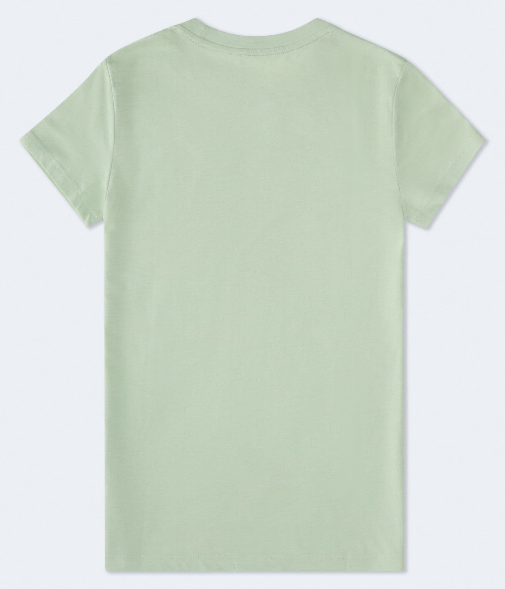 Aeropostale Rose Flocked Graphic Tee