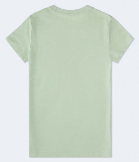 Aeropostale Rose Flocked Graphic Tee Aeropostale Rose Flocked Graphic Tee