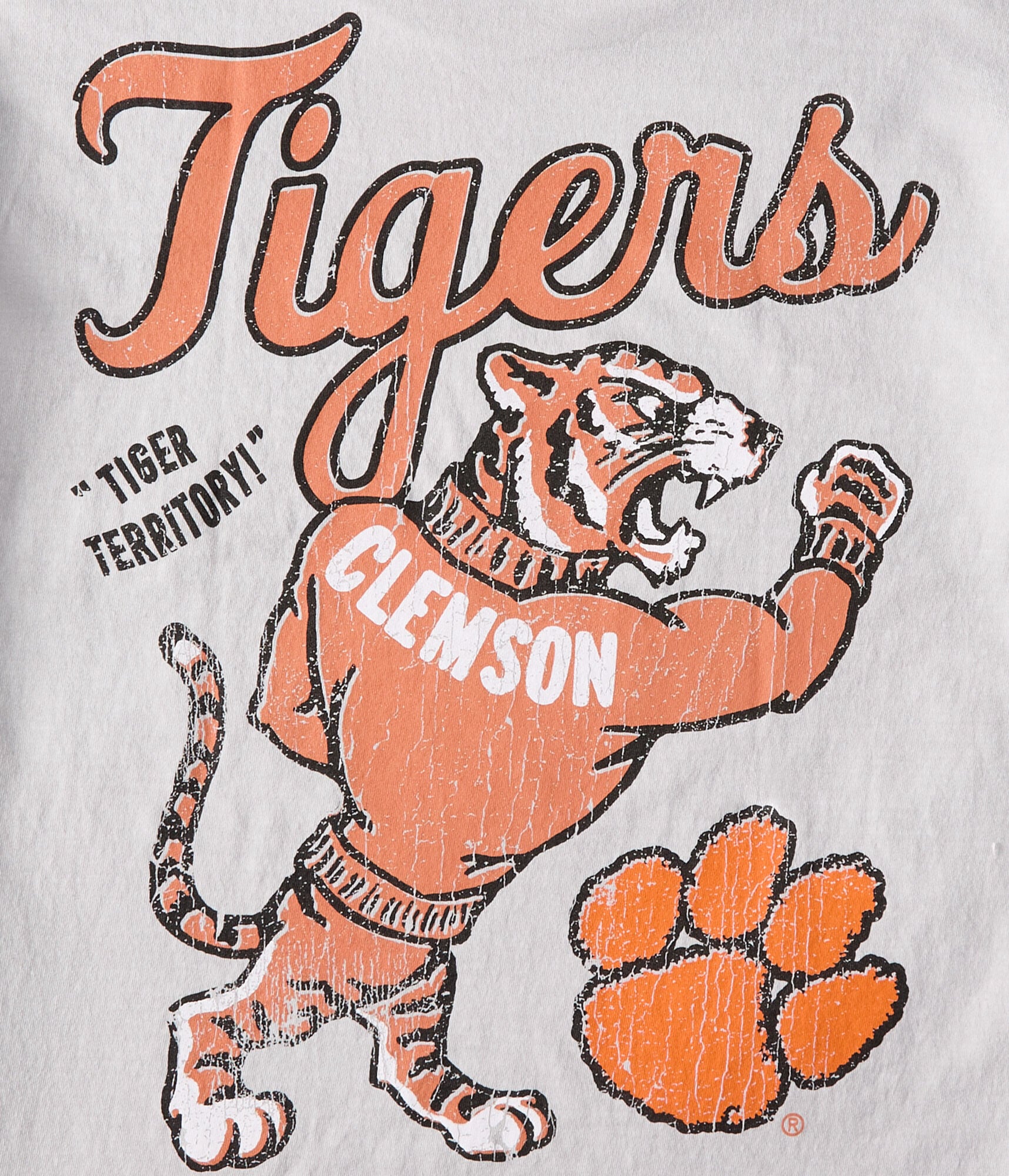 Clemson Tigers Relaxed Graphic Tee