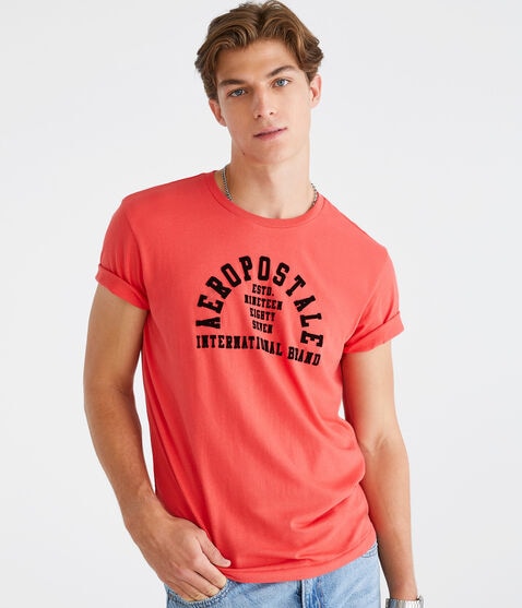 Aeropostale International Arch Graphic Tee Aeropostale International Arch Graphic Tee
