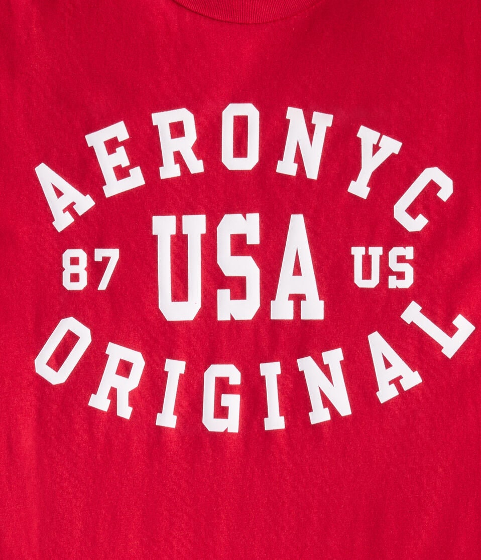 Aero NYC USA Flocked Graphic Tee