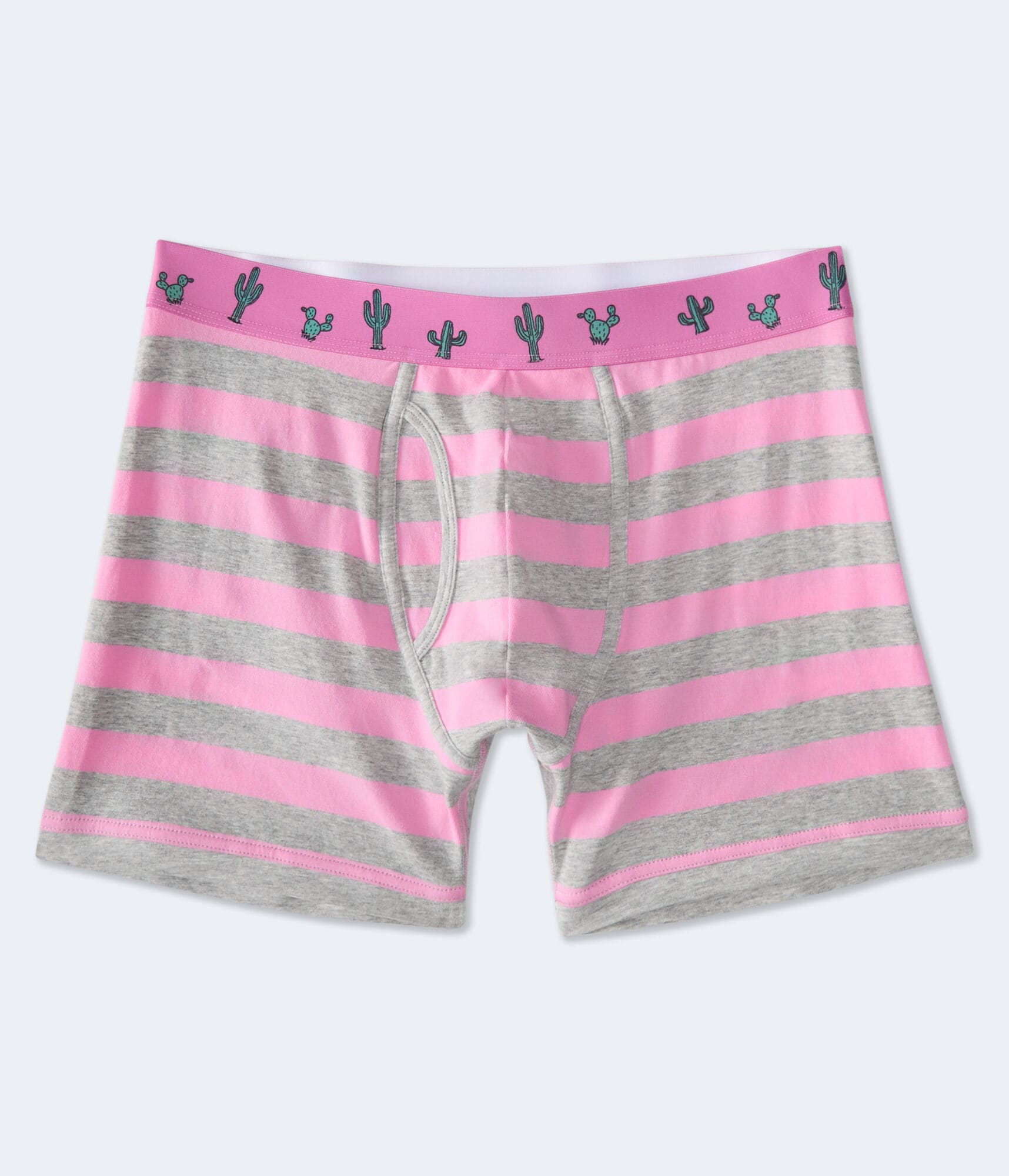 Printed Waistband Rugby Stripe 4.5" Boxer Brief