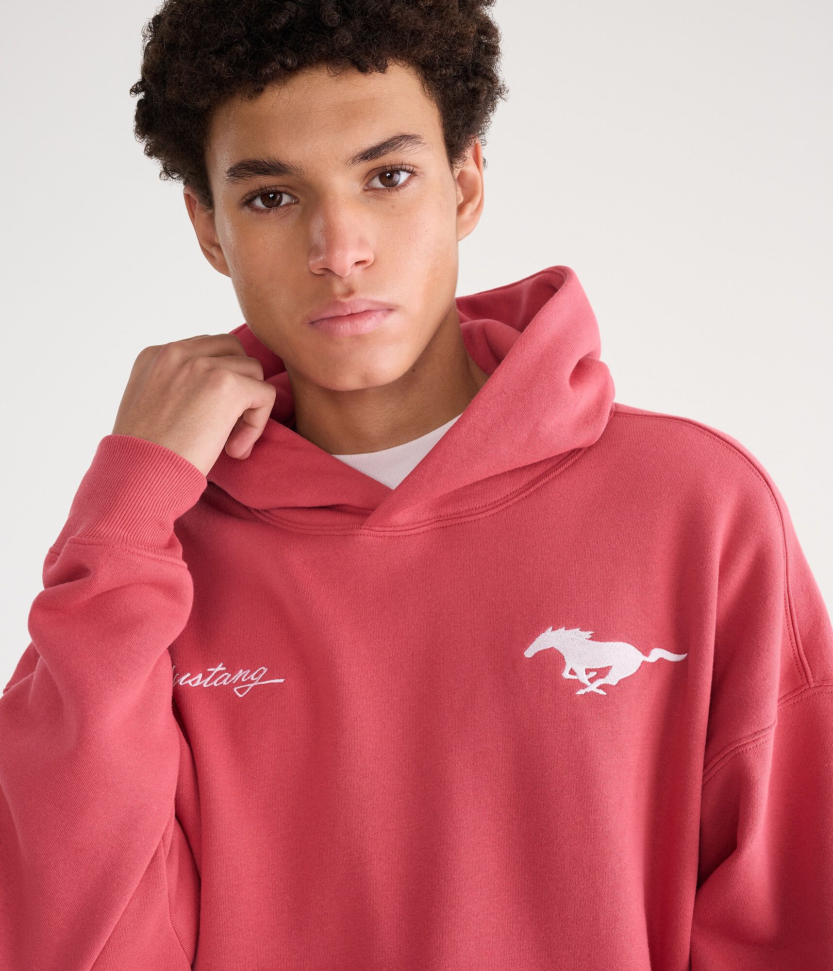 Ford Mustang Logo Pullover Hoodie