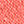 CORAL FLAME NEON