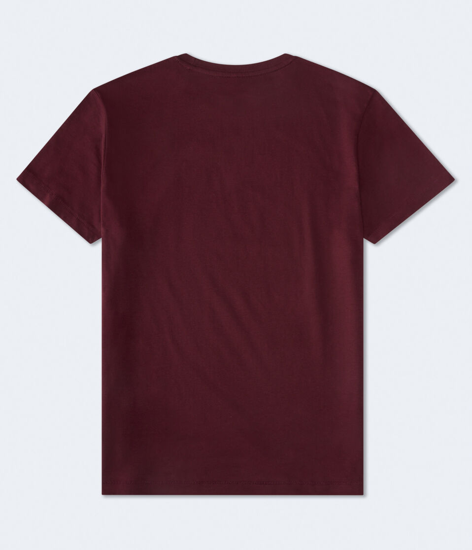 Aero Script Logo Graphic Tee