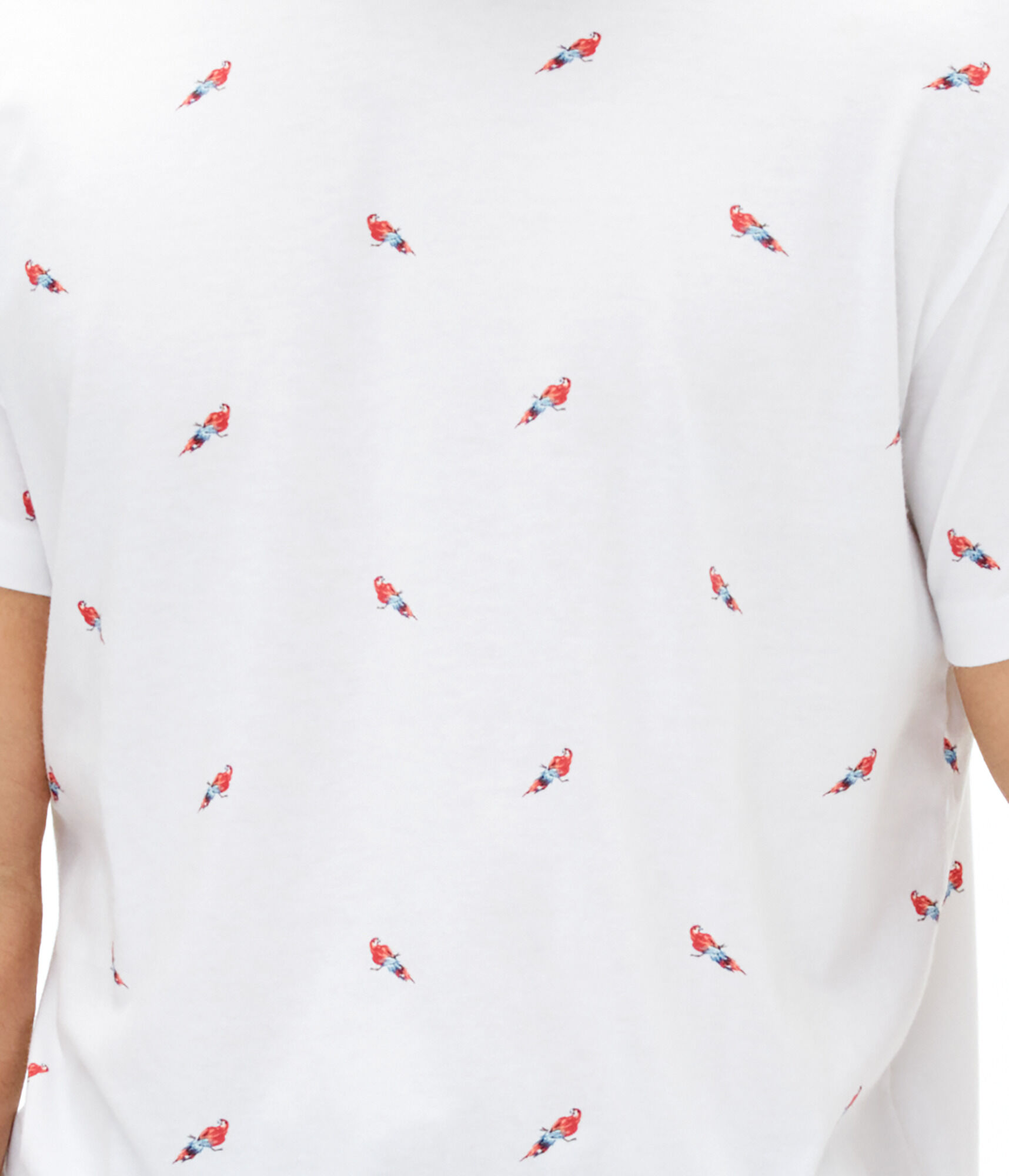 Parrot Print Graphic Tee