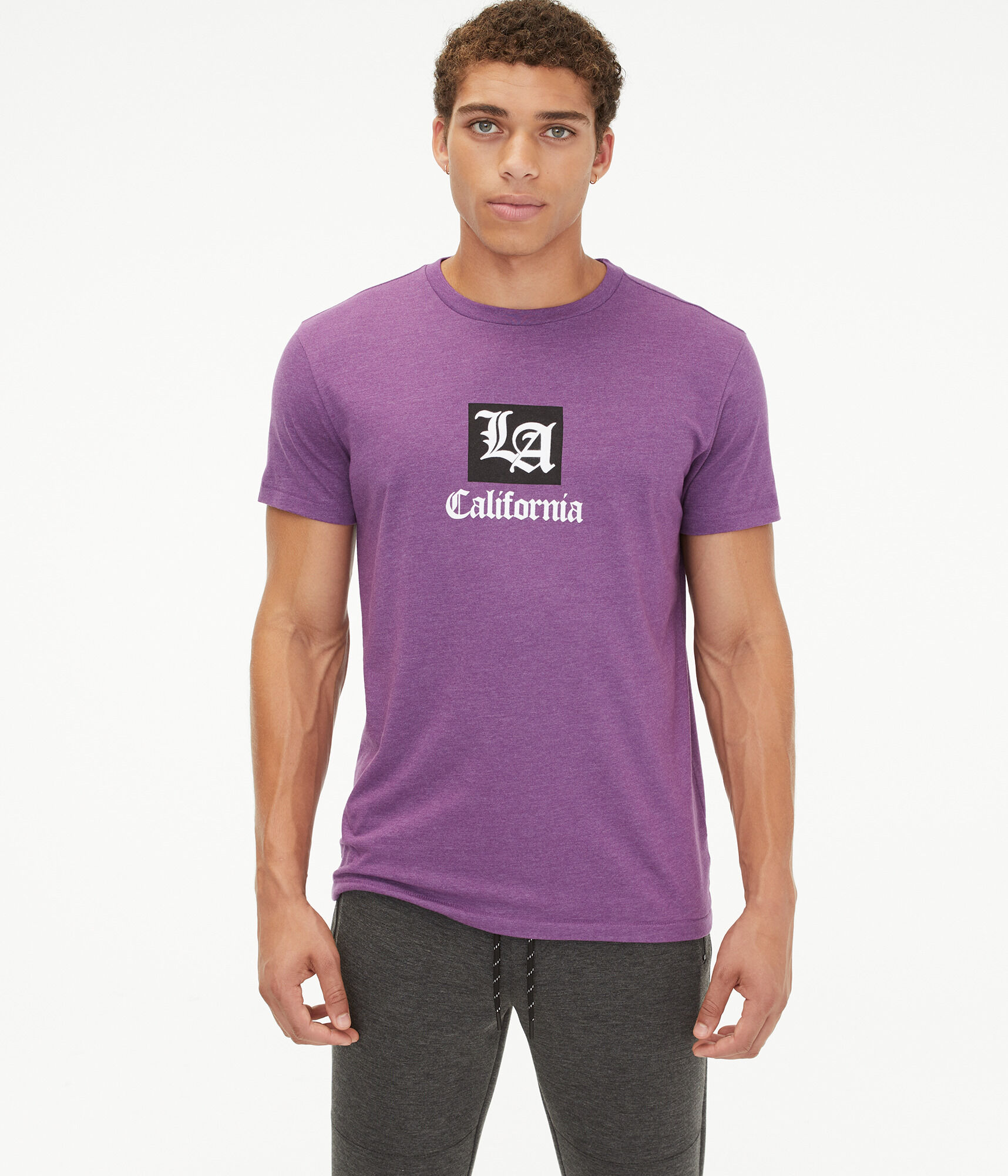 LA California Box Graphic Tee