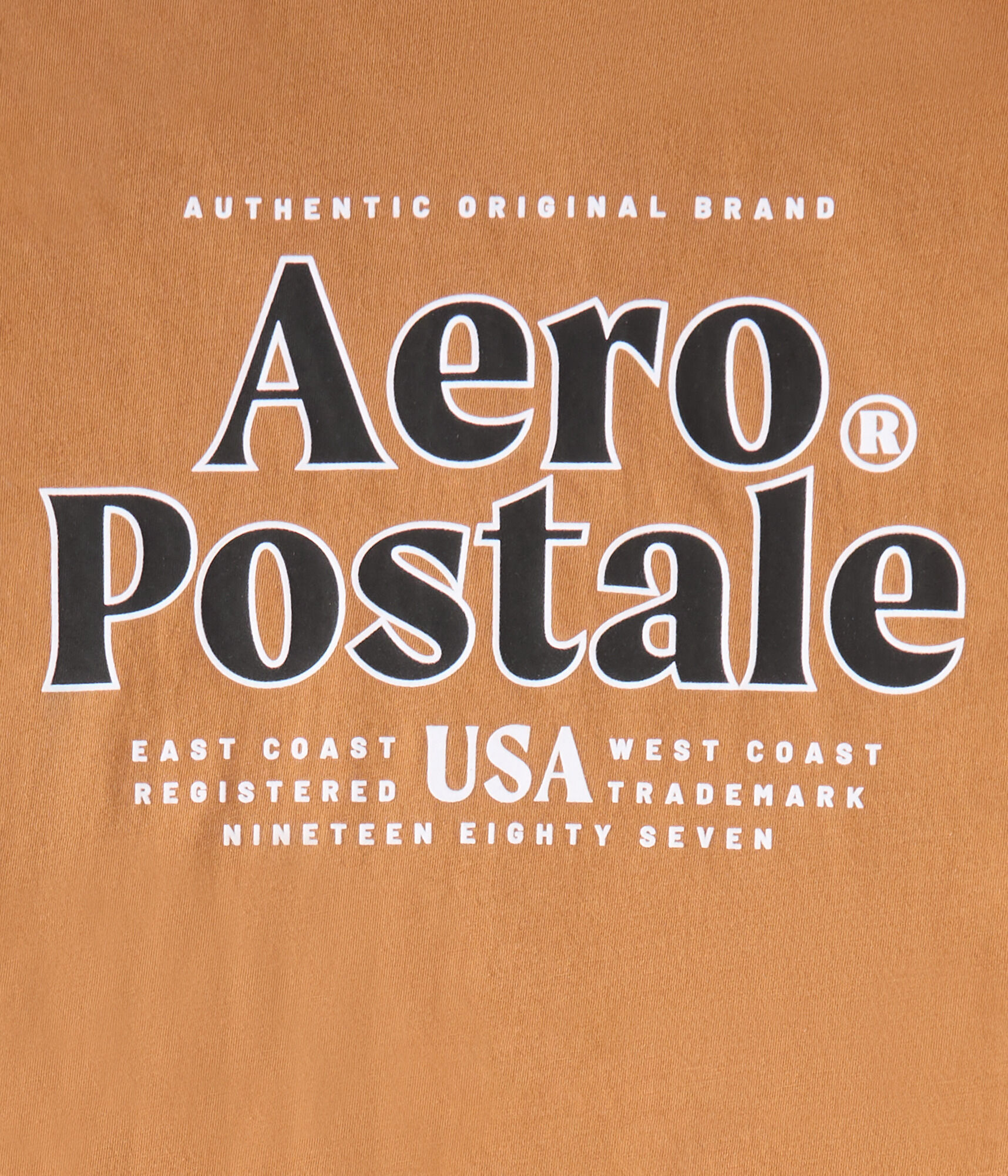 Aeropostale USA Logo Graphic Tee