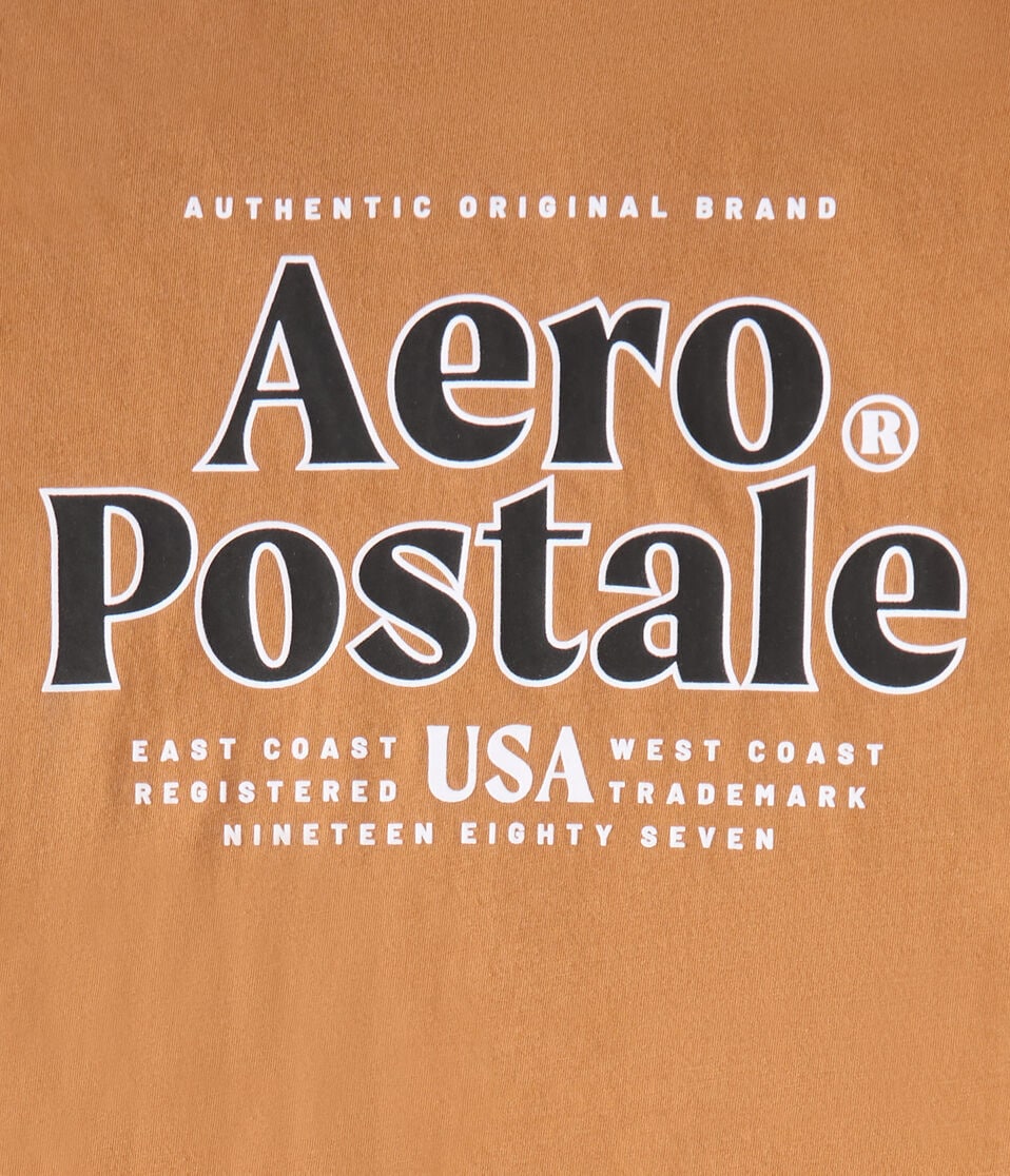 Aeropostale USA Logo Graphic Tee