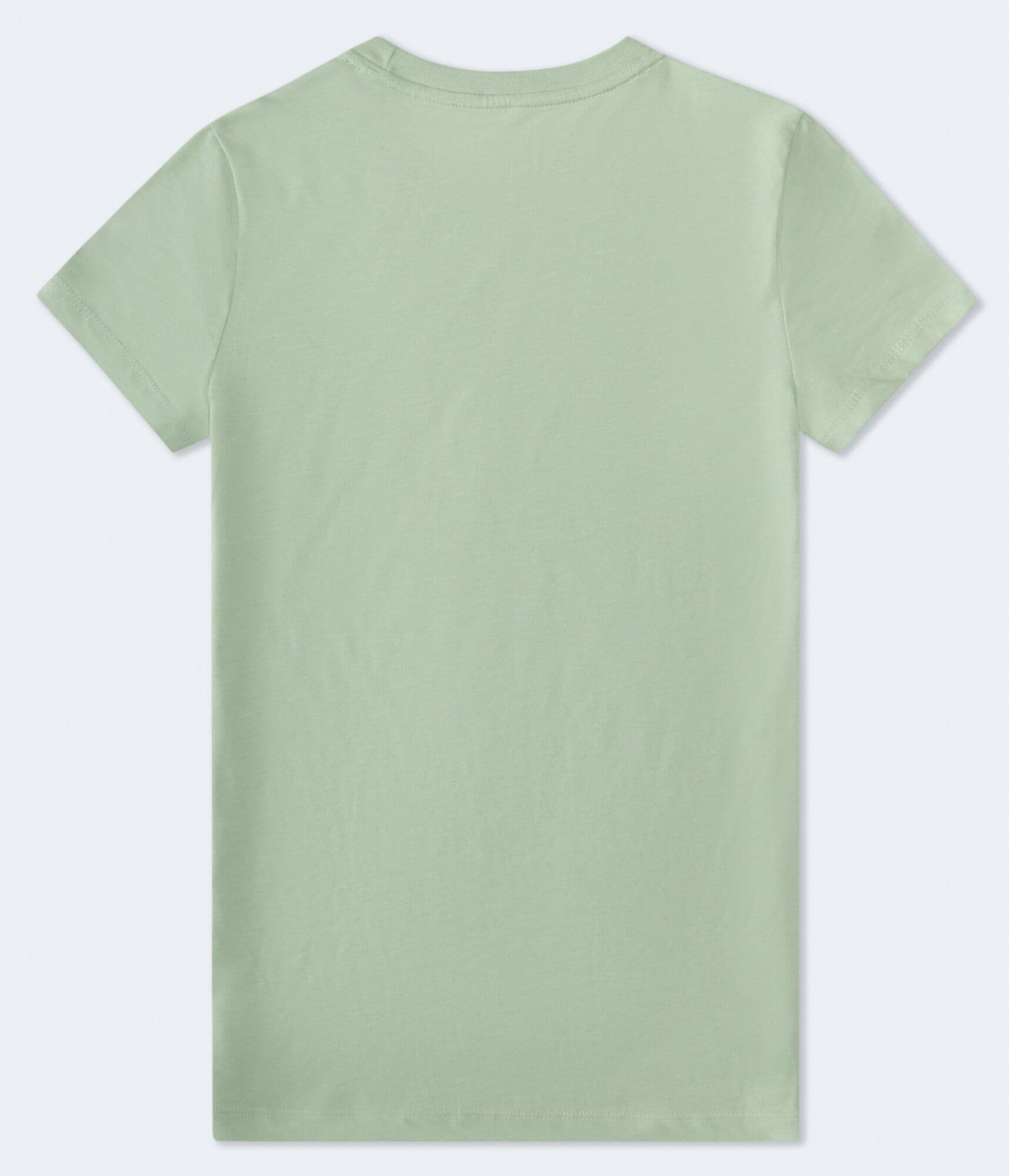 Aero 87 Palm Sunset Foil Graphic Tee