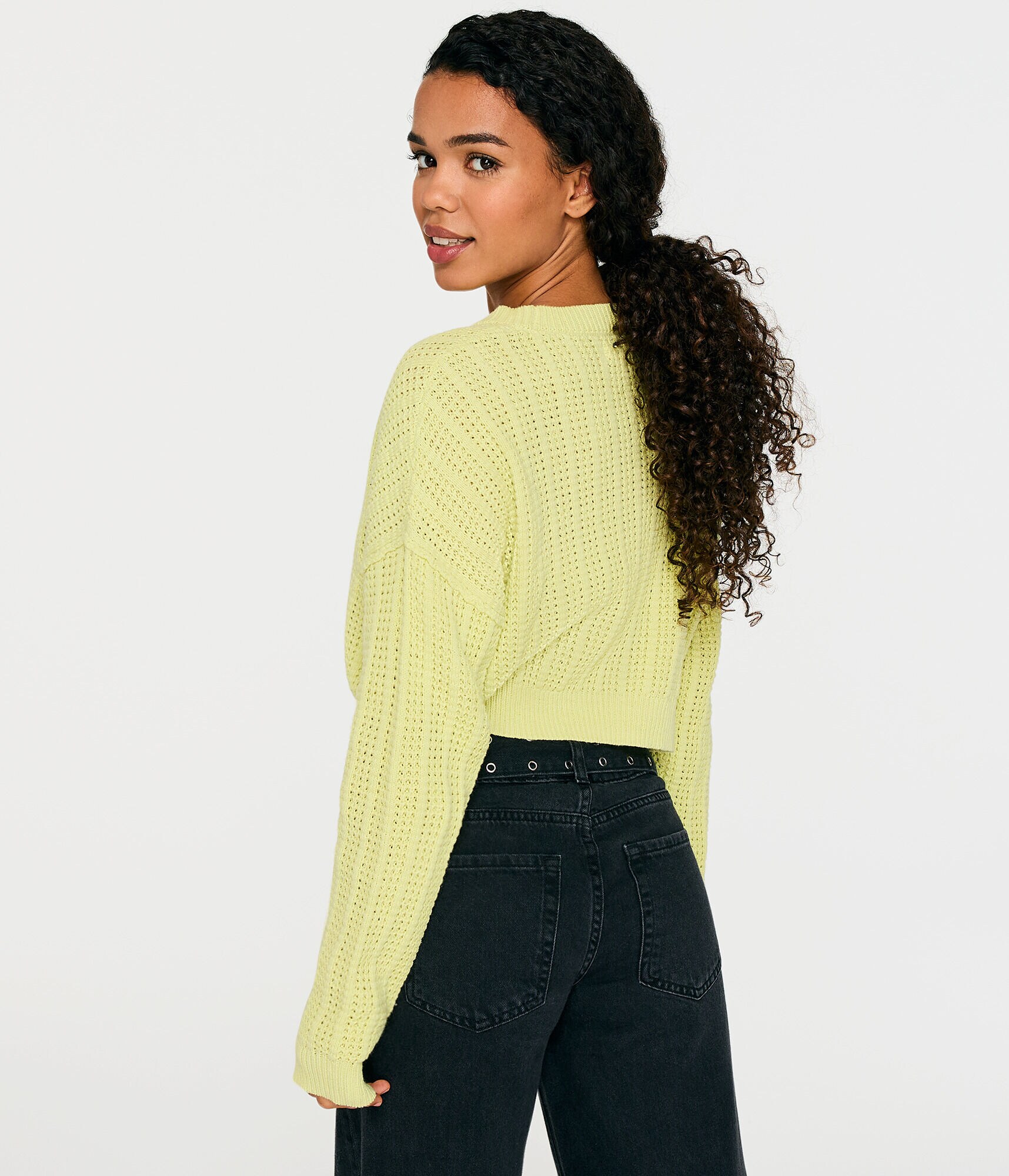 Solid Cropped Crew Sweater