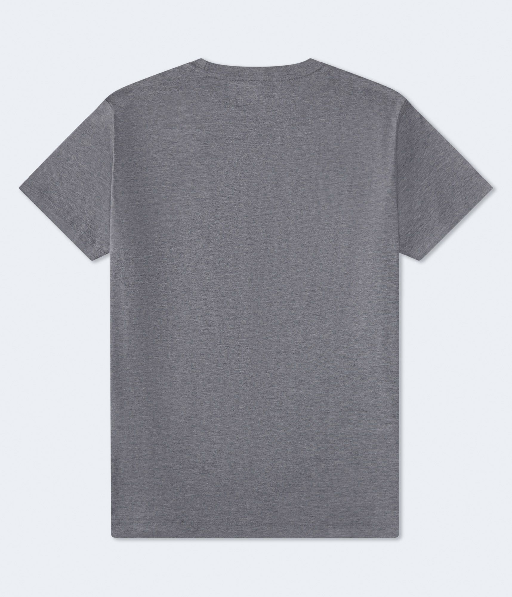 Aeropostale International Bear Graphic Tee