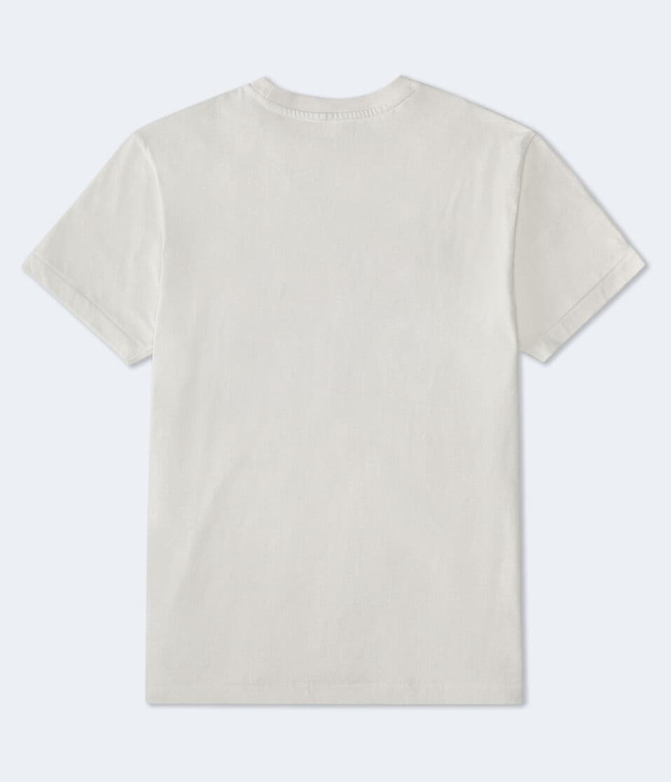 Aeropostale Athletic Division Appliqué Graphic Tee