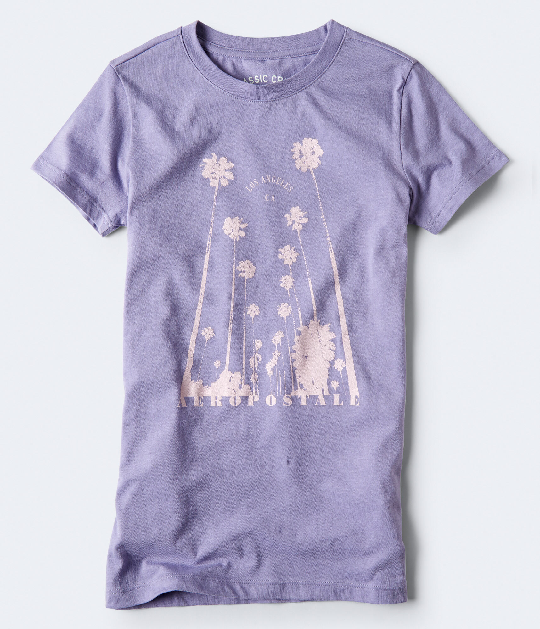 Los Angeles Palms Graphic Tee