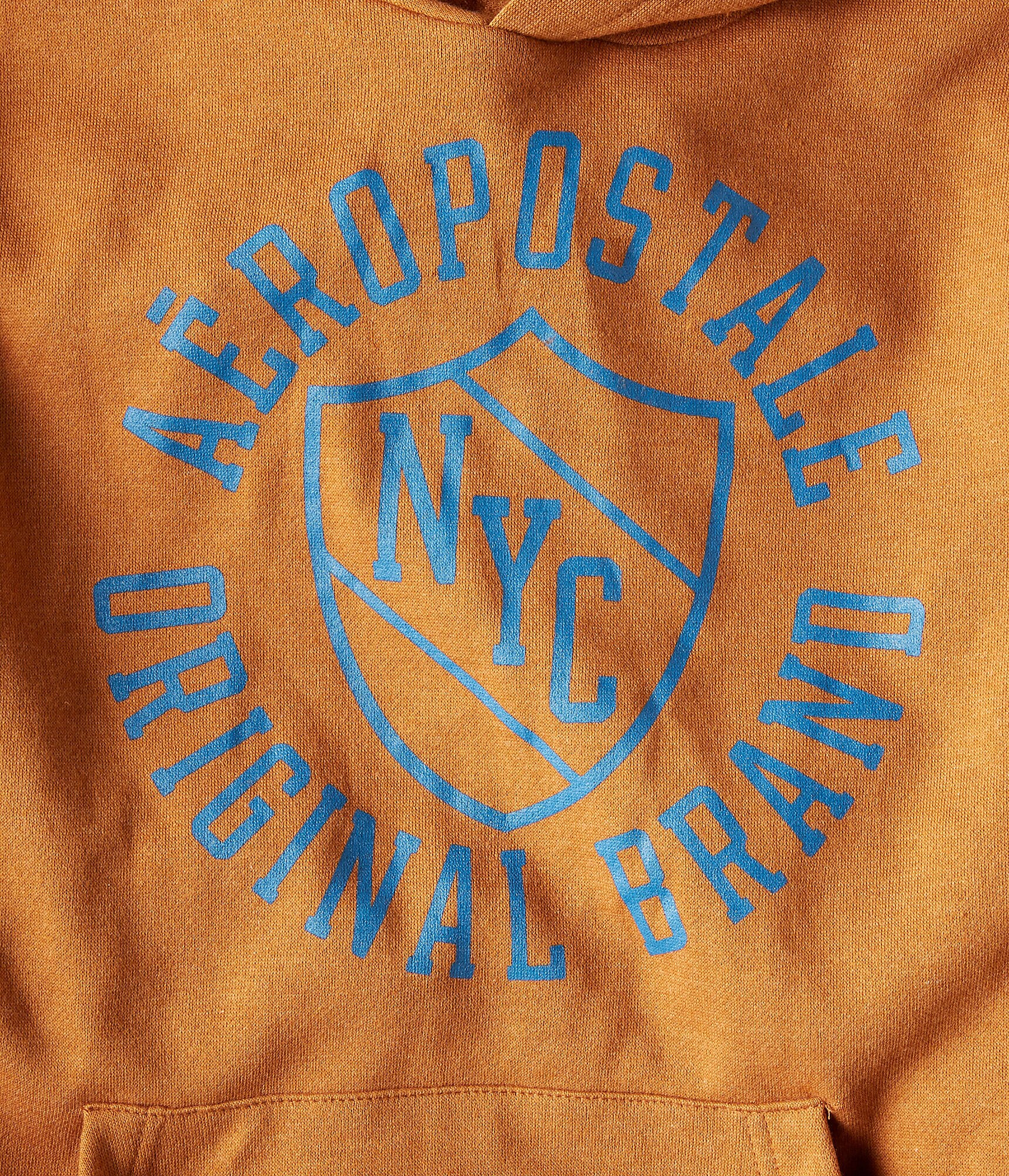 Aeropostale Original Brand Pullover Hoodie