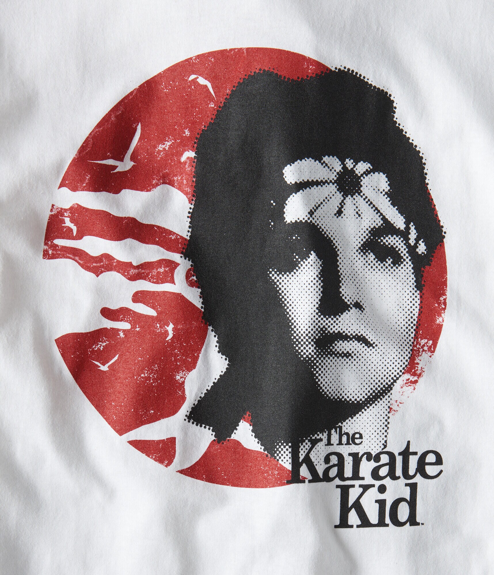 Karate Kid Graphic Tee