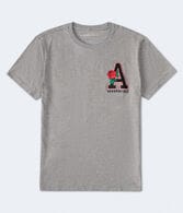 Aeropostale Rose Appliqué Graphic Tee