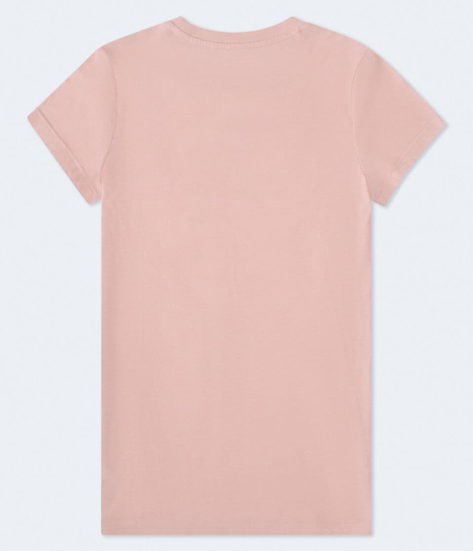 Aeropostale Roses Arch Graphic Tee