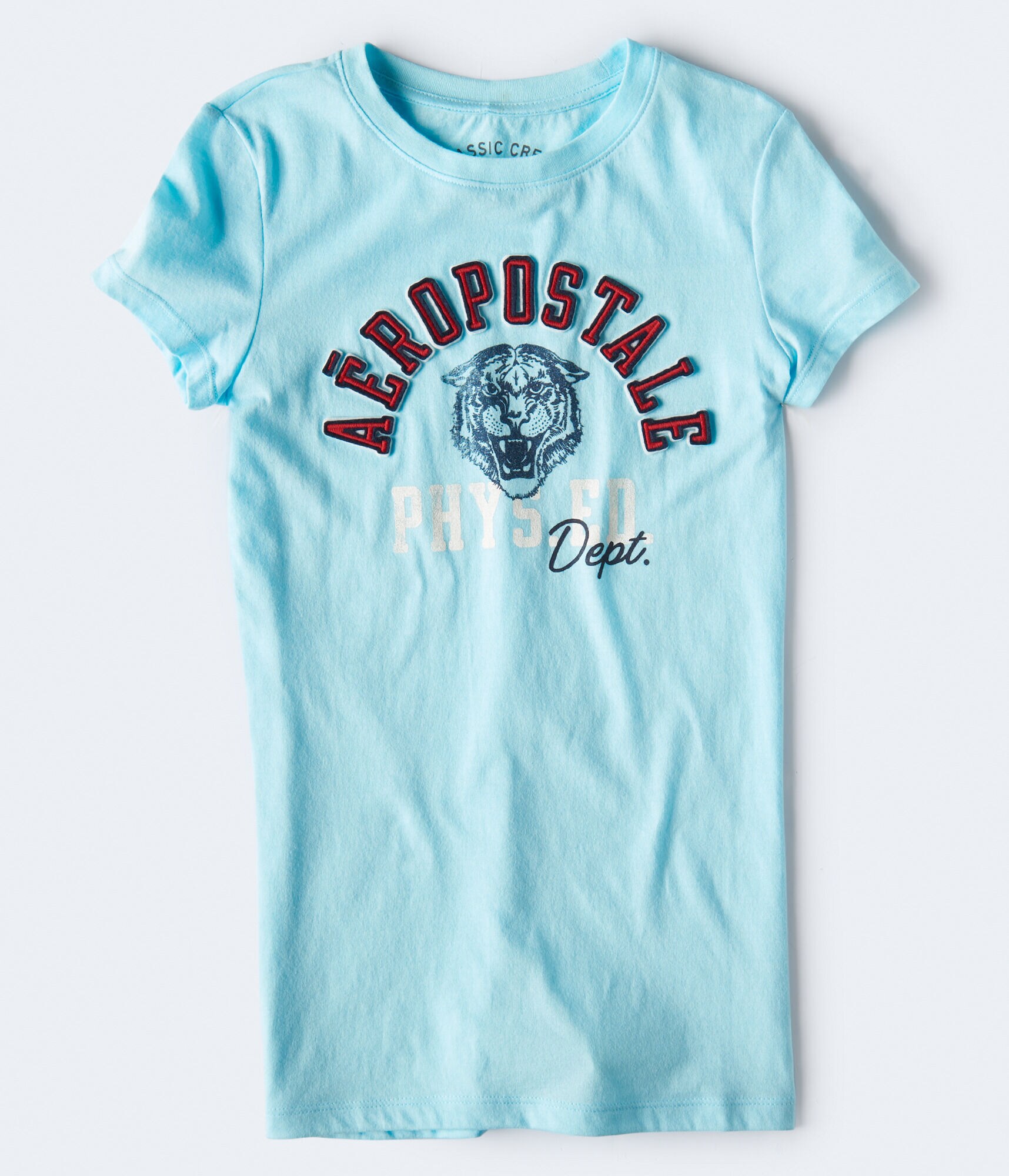 Aeropostale Tiger Graphic Tee