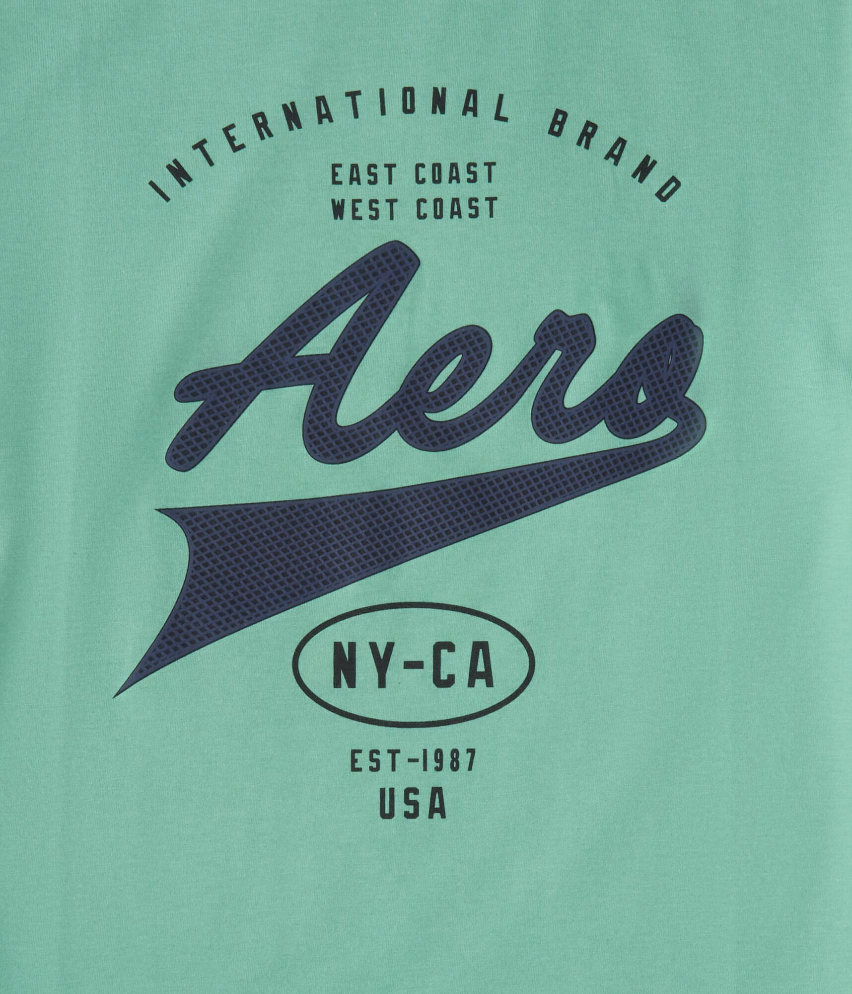 Aero Script Logo Graphic Tee