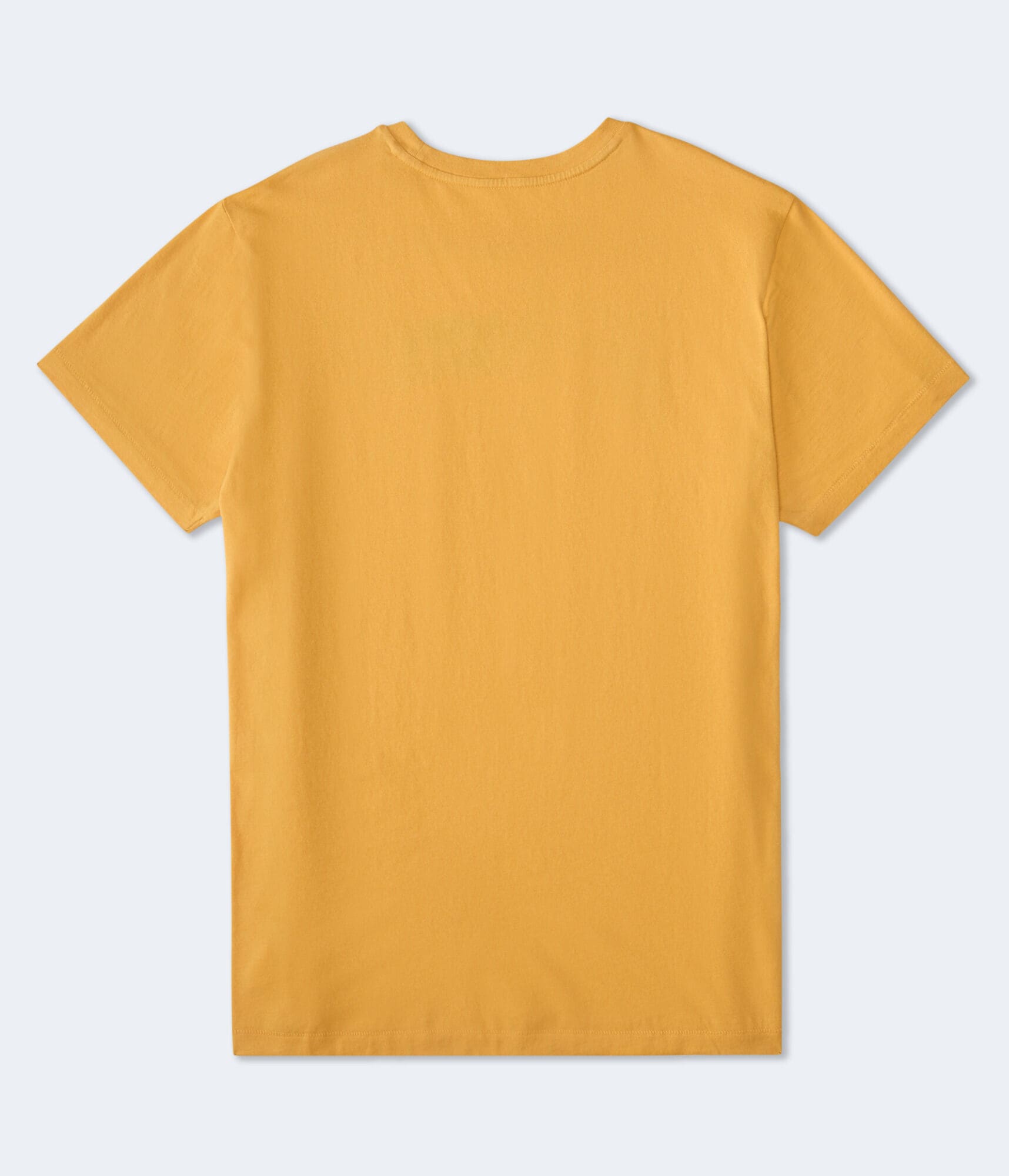 Aeropostale Shield Crest Graphic Tee