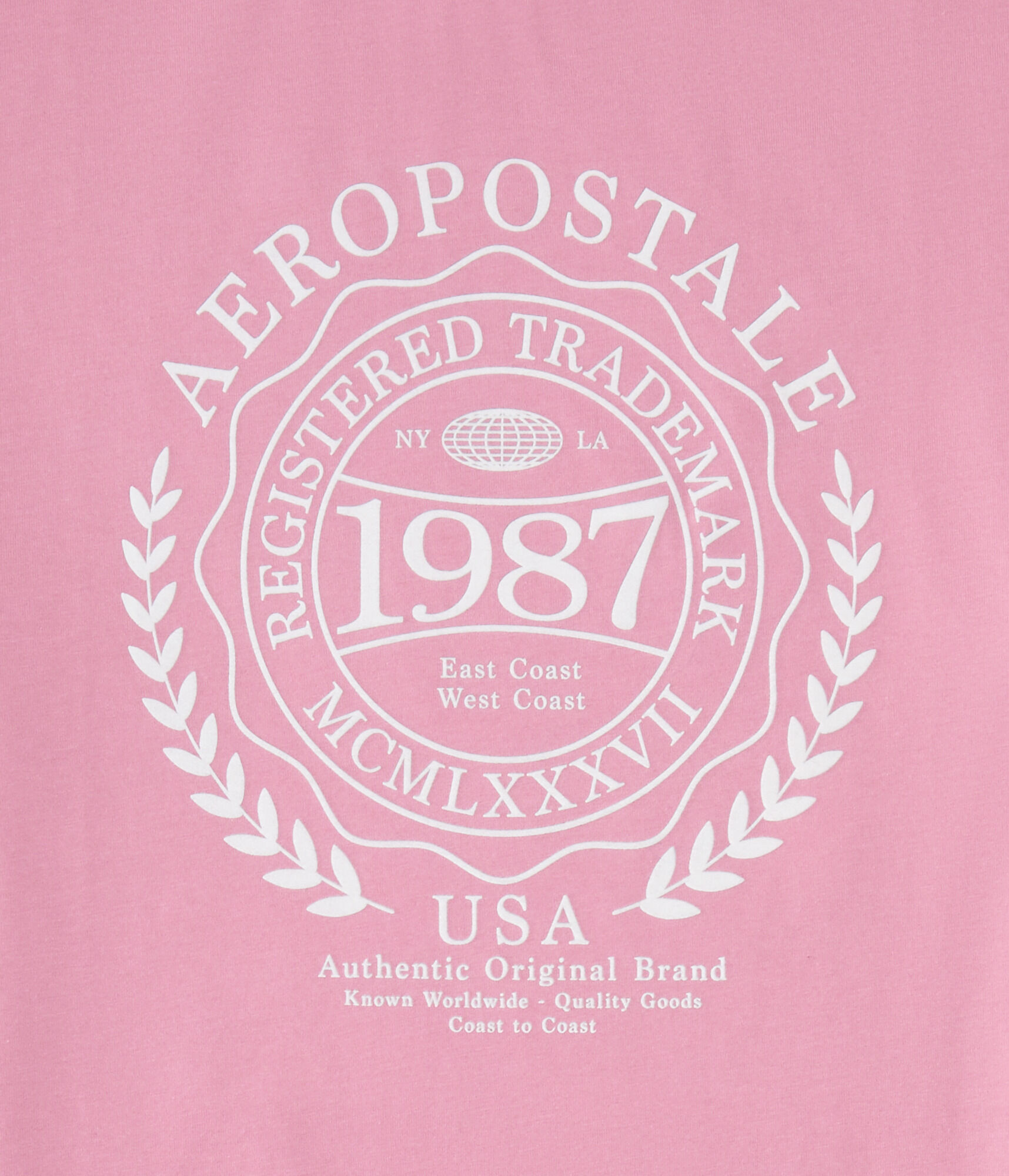 Aeropostale Laurel Circle Flocked Graphic Tee