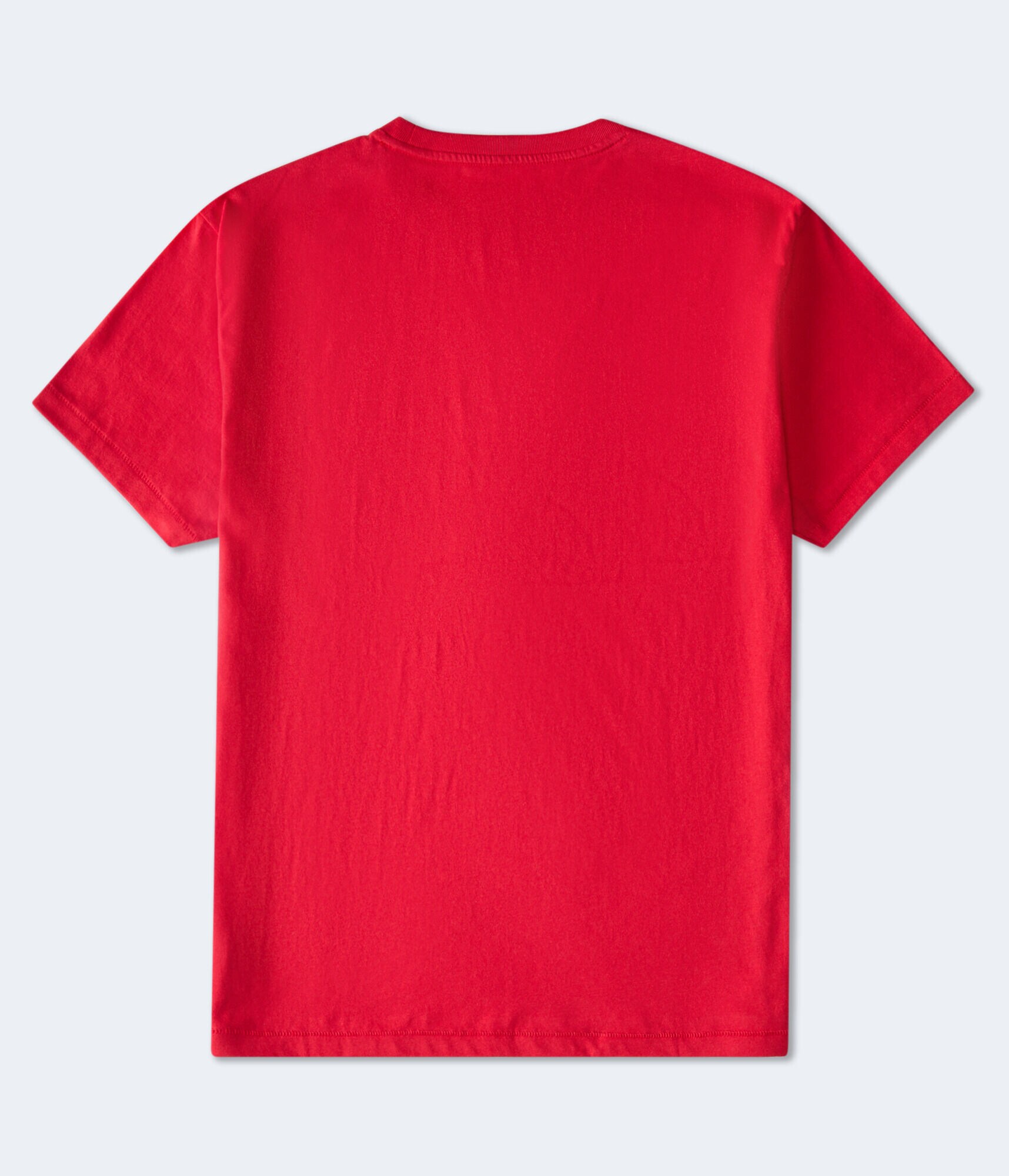 Aeropostale Authentic Logo Flocked Graphic Tee