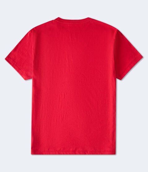 Aeropostale Authentic Logo Flocked Graphic Tee Aeropostale Authentic Logo Flocked Graphic Tee