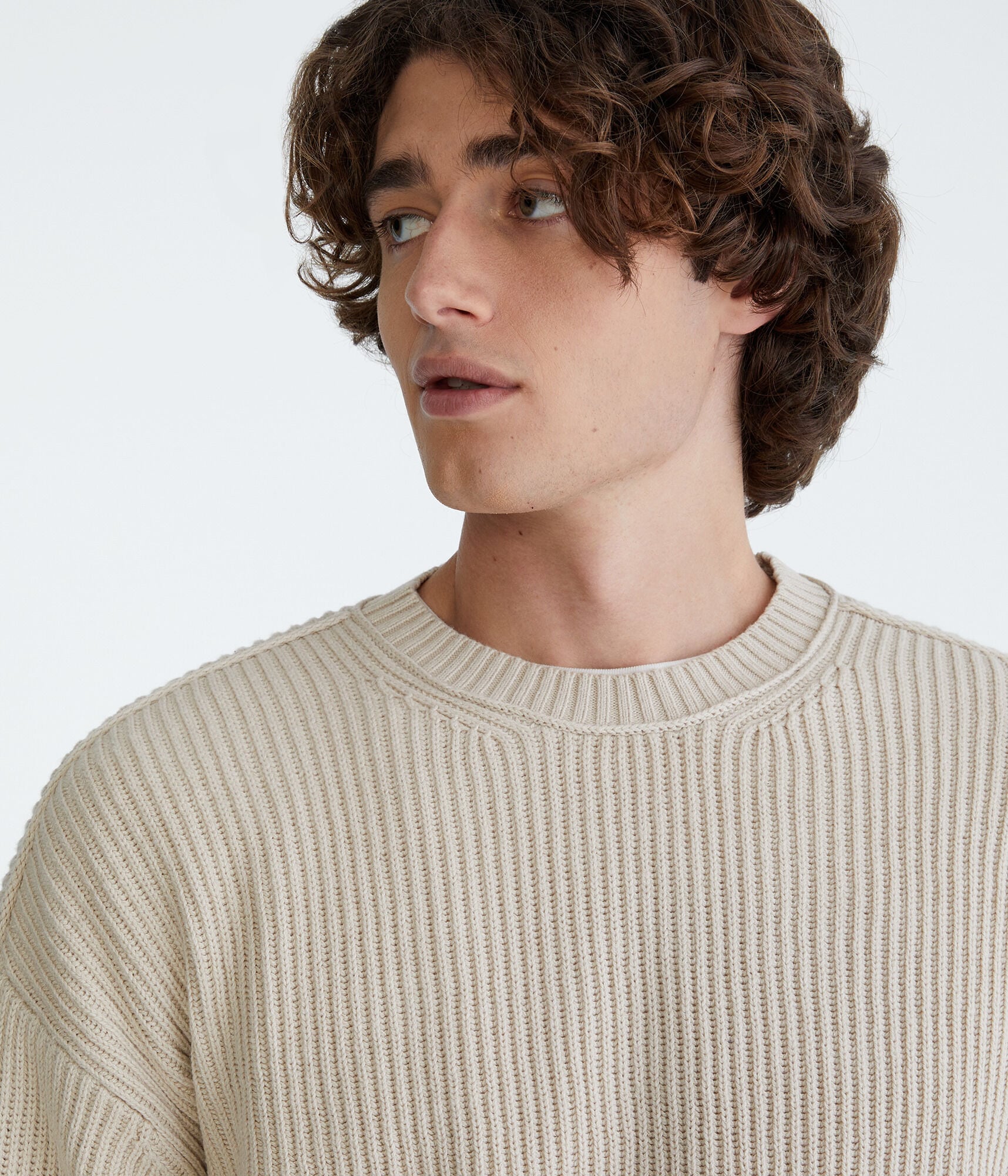 Solid Ribbed Crew Sweater