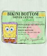 SpongeBob Driver's License Relaxed Graphic Tee