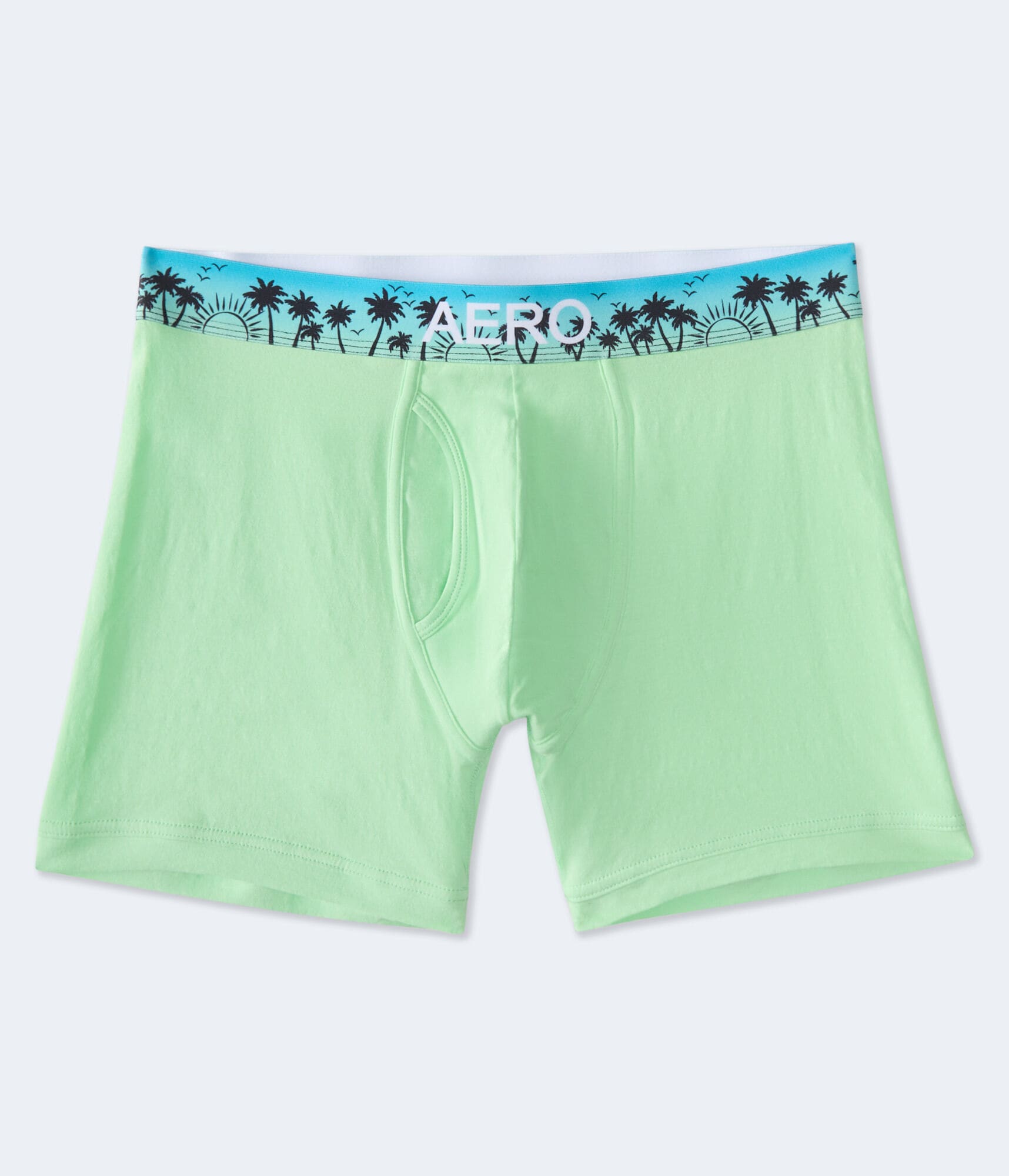Palm Tree Waistband 4.5" Knit Boxer Briefs