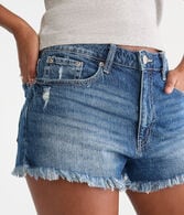 Curvy High-Rise Denim Shorty Shorts