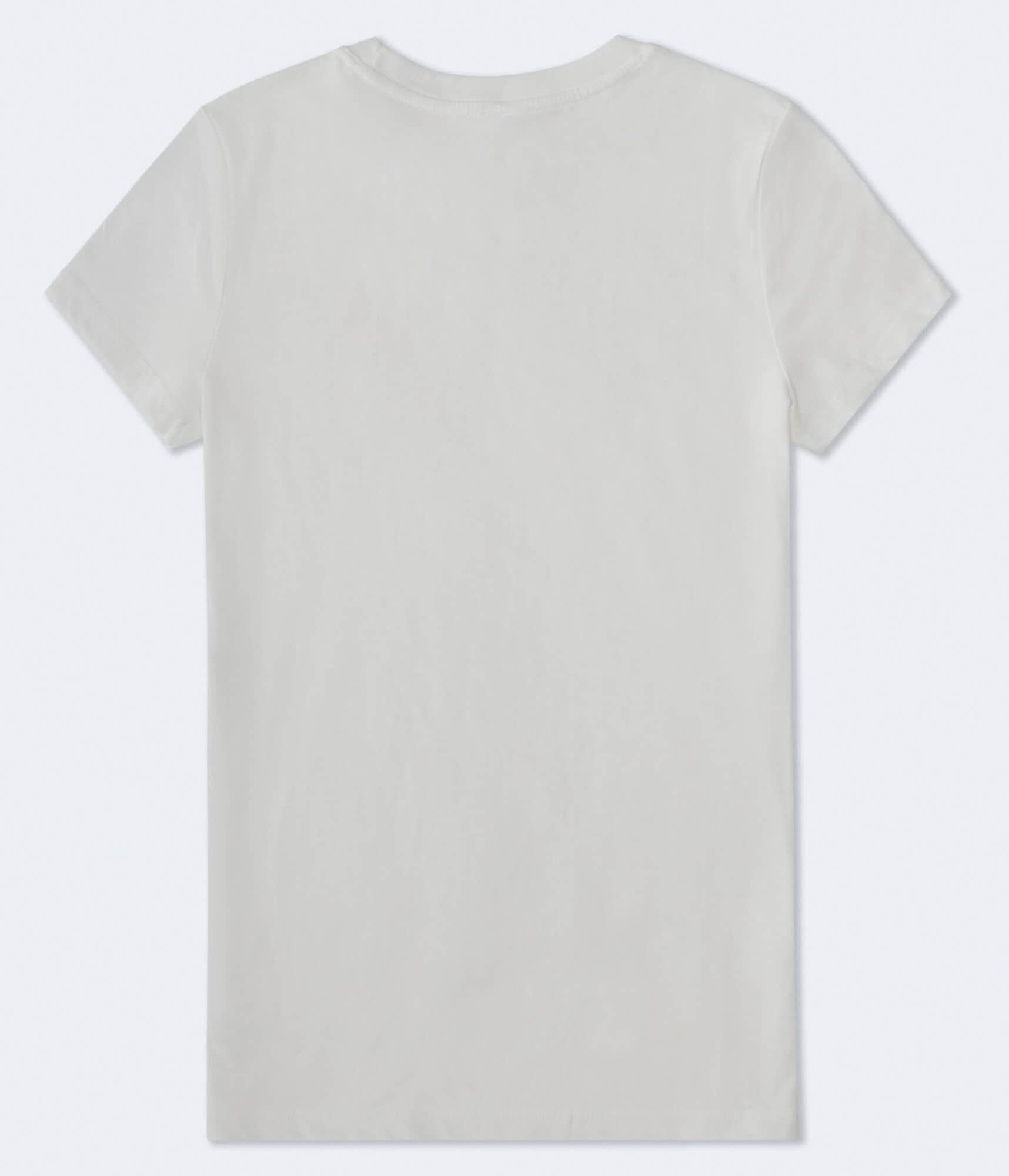 Aeropostale Leopard Star Graphic Tee