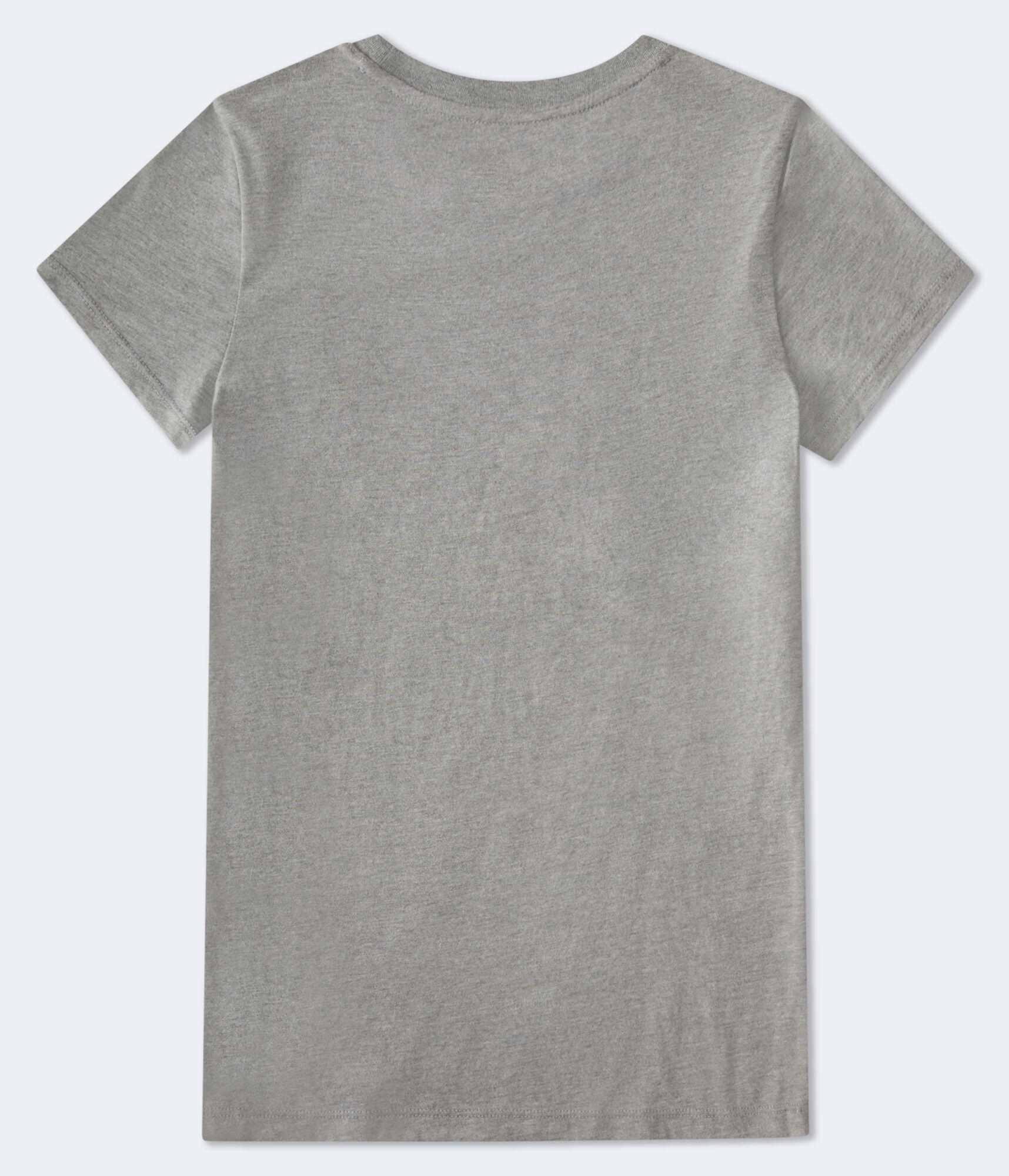 Aero 1987 Butterfly Flocked Graphic Tee