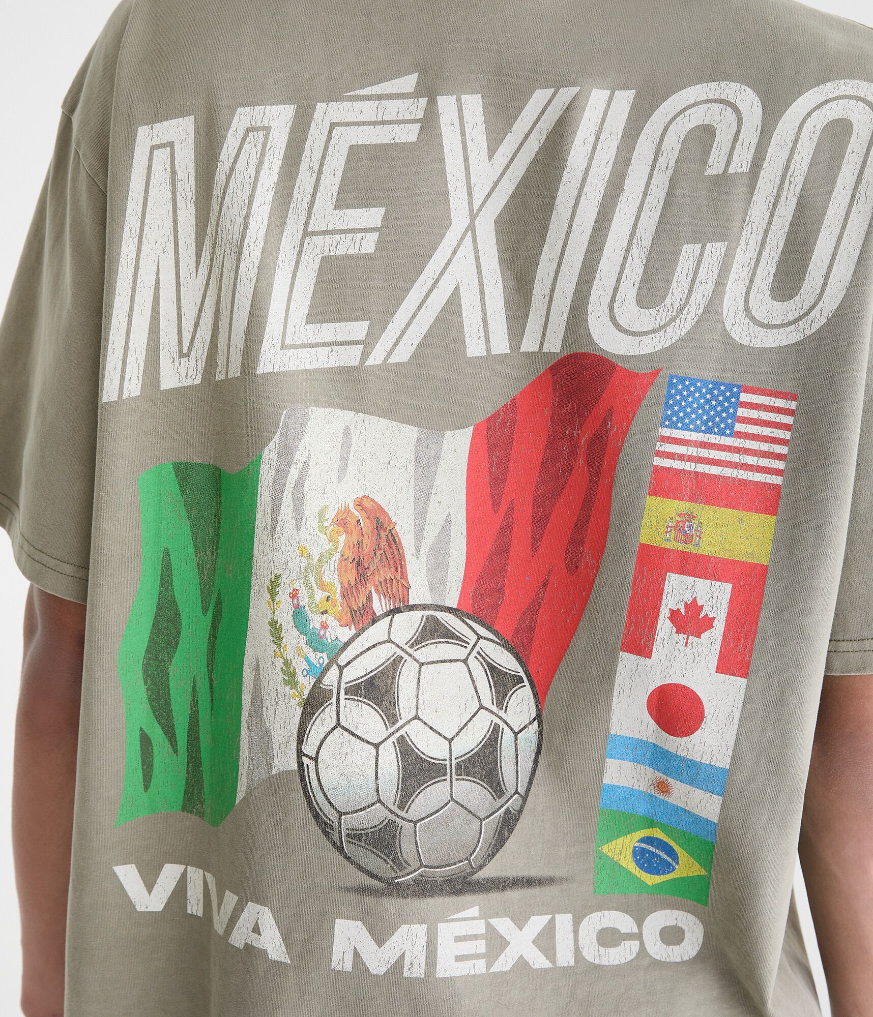 Viva M&eacute;xico Relaxed Graphic Tee