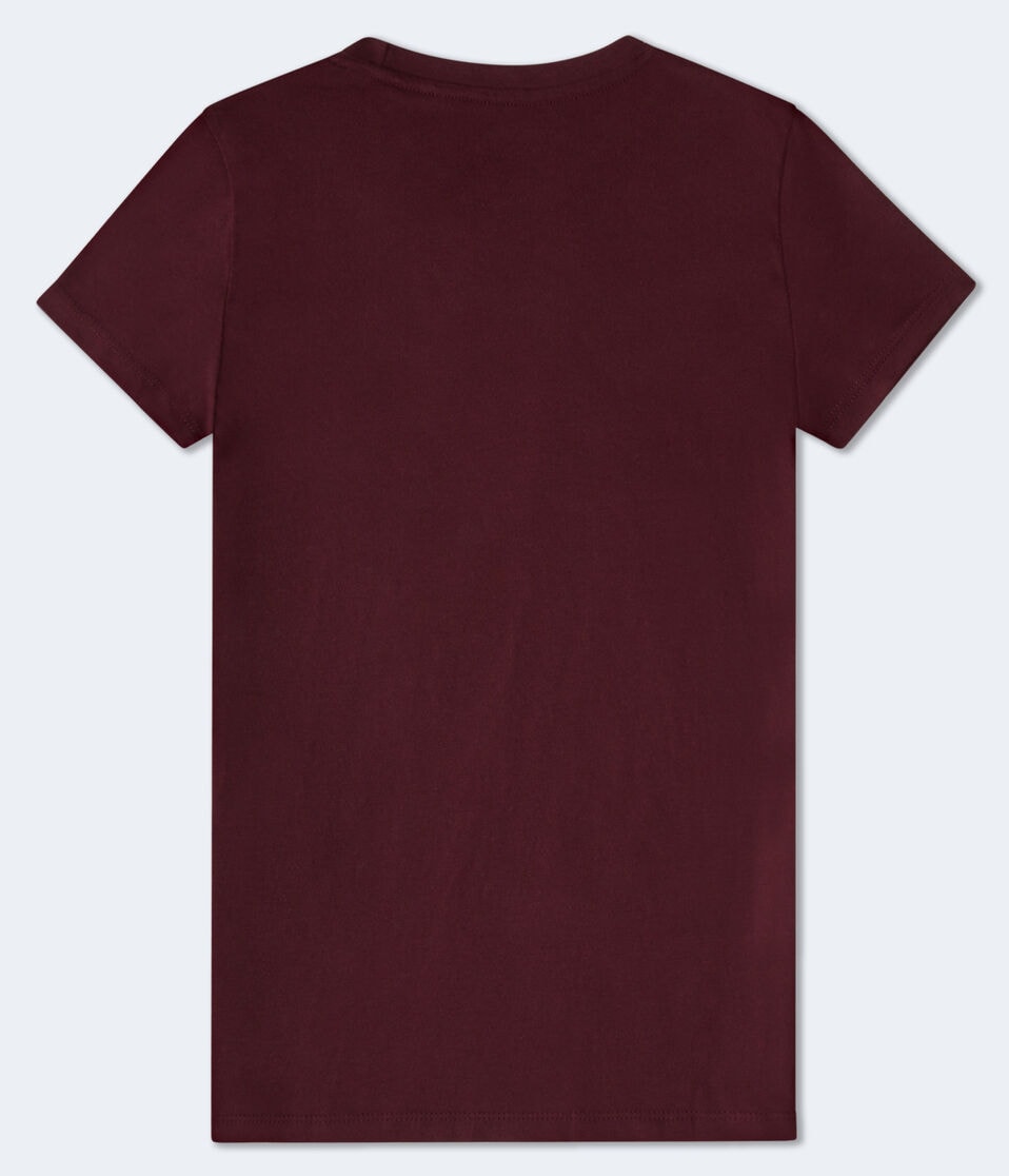 Aero New York Ribbon Flocked Graphic Tee