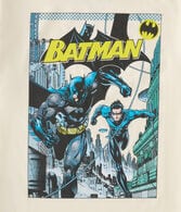 Batman & Nightwing Relaxed Graphic Tee